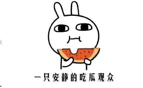 娱乐圈吃瓜的正确方法,轻松解锁明星八卦的正确姿势