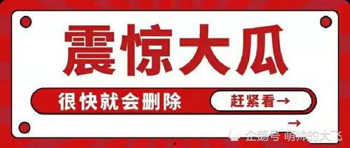 娱乐圈吃瓜合集文案